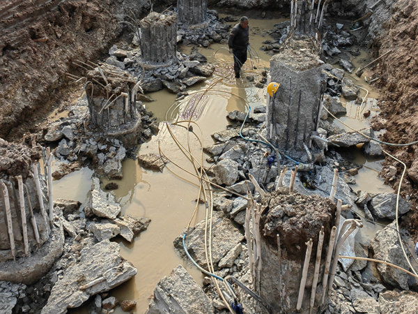 灌注桩钢筋笼XVDEVIOS安装包